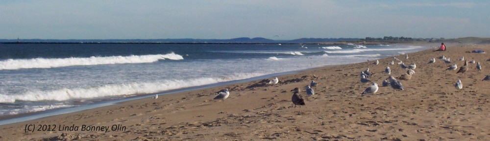 Photo of an ocean beach, deserted except for the seagulls and one person sitting on the sand in the distance